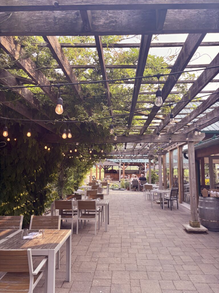 Guide to wine tasting in the Niagara Benchlands img 0893