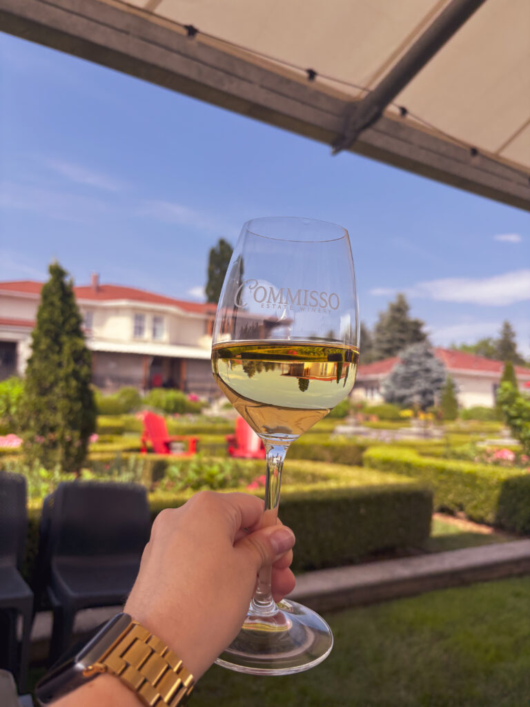 Guide to wine tasting in the Niagara Benchlands img 3744