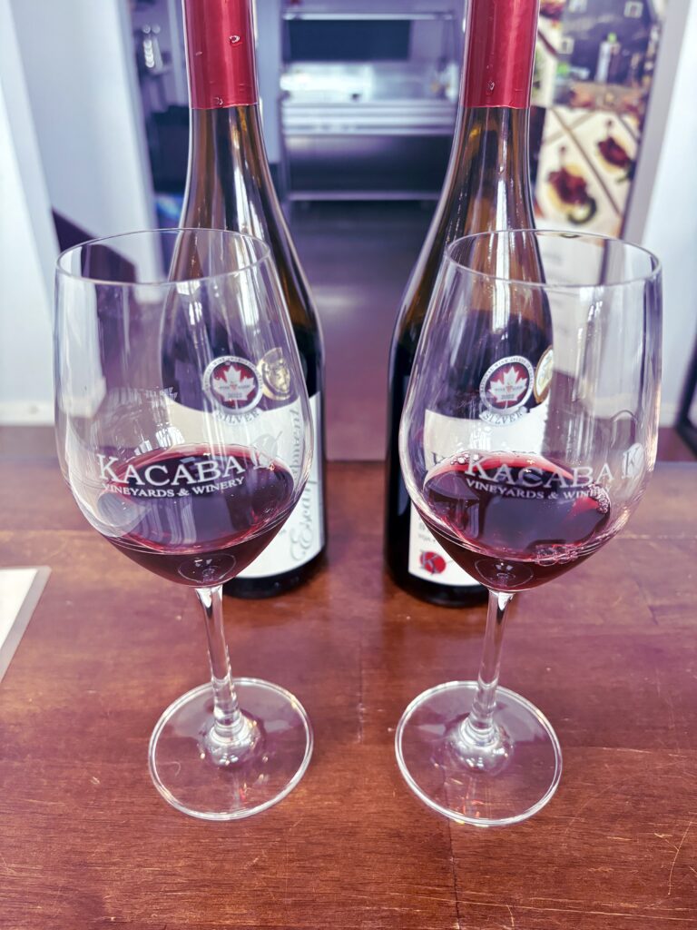 Guide to wine tasting in the Niagara Benchlands img 6721